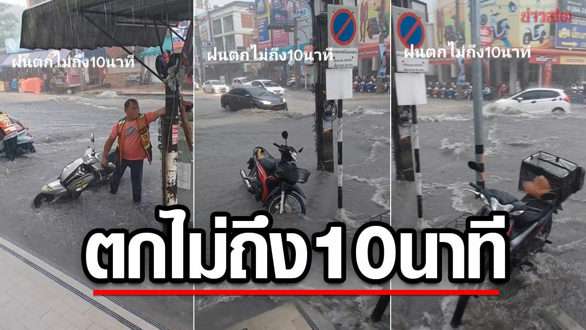 อย่างโหด! ฝนตกไม่ถึง 10 นาที น้ำหลากท่วมถนน รถมิดครึ่งคัน แถมงูเหลือมโผล่