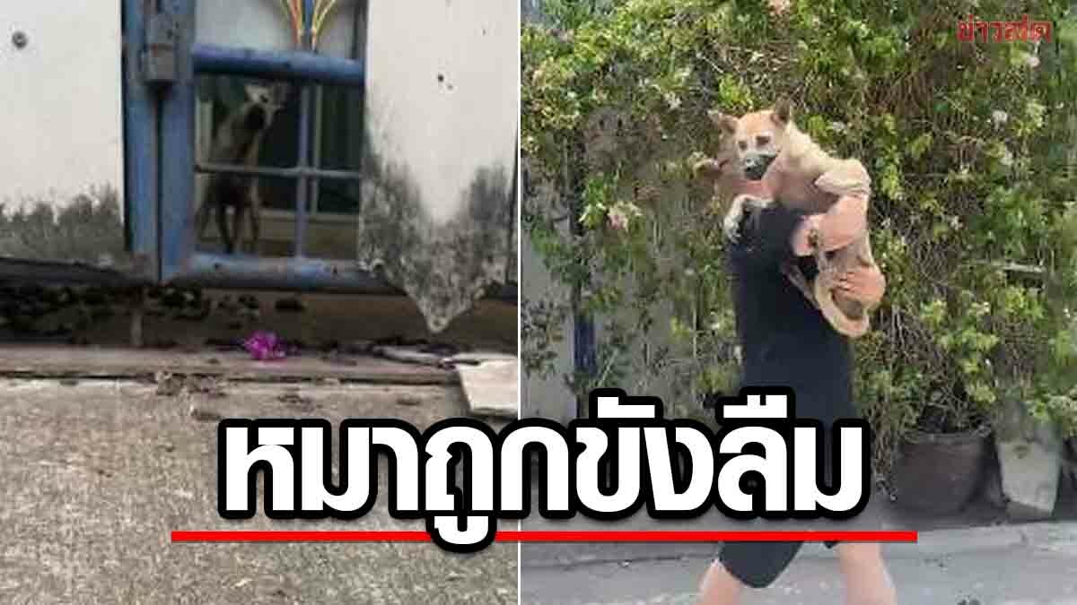 สาวเปิดใจ ช่วยหมาถูกขังลืมในบ้าน ตาย1 ปางตาย1 เจ้าของบ้านลั่น อย่าเข้ามายุ่ง