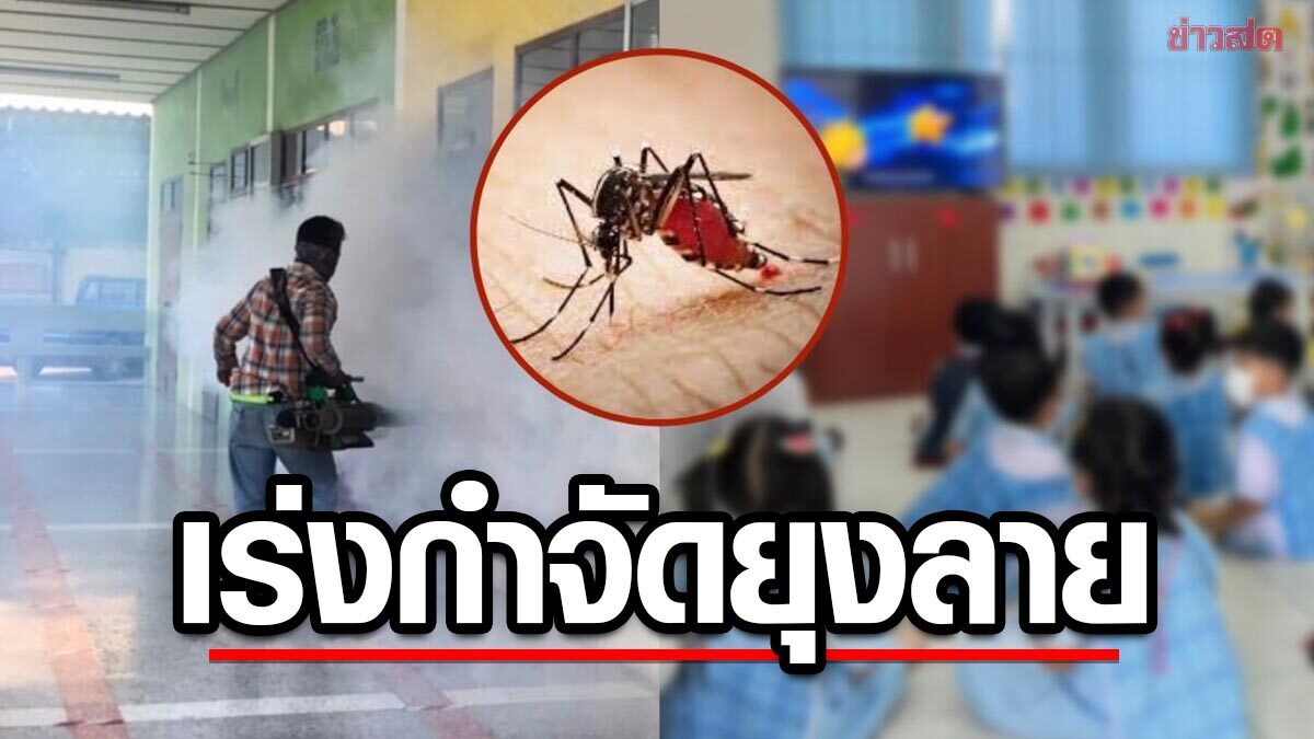 More dengue fever students, 1 death, immediate elimination of mosquito ...