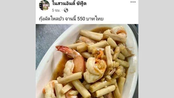 เจ้าของร้านดัง แจงดราม่า กุ้งผัดไหลบัว จานละ 550 บาท คนกินไม่มีใครบ่นเลย เผยเหตุผล สุดท้อคอมเมนต์ ลั่น เราทำแต่ของดี ๆ ราคาพิสูจน์ได้ 