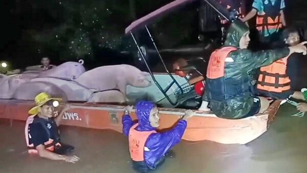 ฝนถล่ม ปราจีนบุรี น้ำป่าเขาใหญ่ ทะลักท่วมบ้านเรือนประชาชนกว่า 200 หลังคาเรือน ขนของ-สัตว์เลี้ยงหนีตายจ้าละหวั่น น้ำท่วมสูงเกือบ 2 เมตร