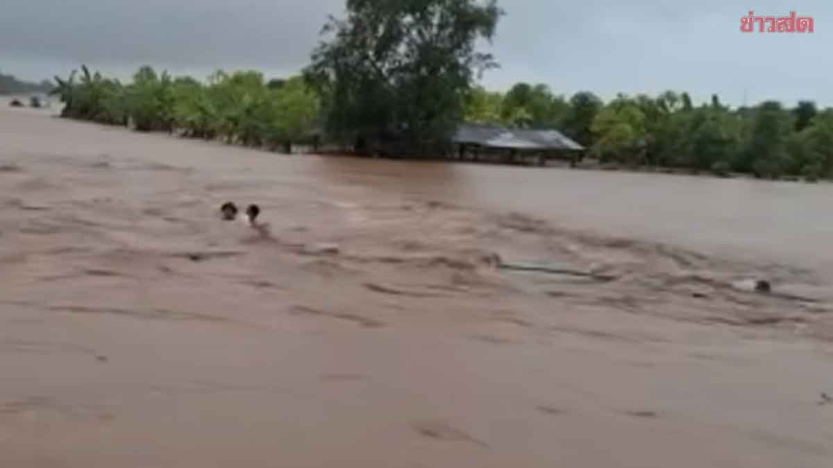 น่านอ่วม ฝนตกไม่หยุด น้ำป่าทะลัก ซัดมาอย่างไว เผยนาที 2 ชาวบ้านโดนซัดไปกับกระแสน้ำ