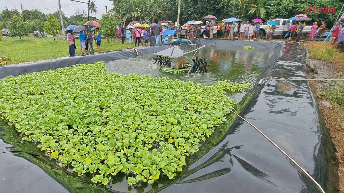 ไม่มีเงินซื้อนม สาวพา6ขวบซ้อนท้ายมาขอยืมเงิน 200 สุดท้ายร้องไห้โฮไม่มีเงินทำศพลูกสาวจมบ่อ