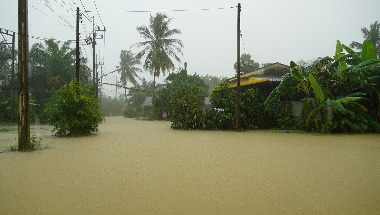 ฝนตกหนัก พัทลุง ประกาศเขตภัยพิบัติ อุทกภัย-วาตภัย 15 ตำบล 4 อำเภอ  เร่งอพยพชาวบ้าน - ข่าวสด